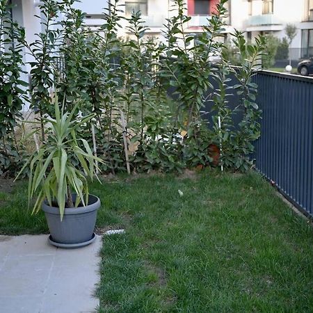 #Minehouse Apartment Timisoara Luaran gambar