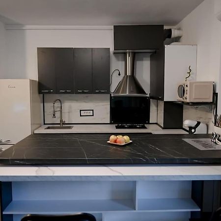 #Minehouse Apartment Timisoara Luaran gambar