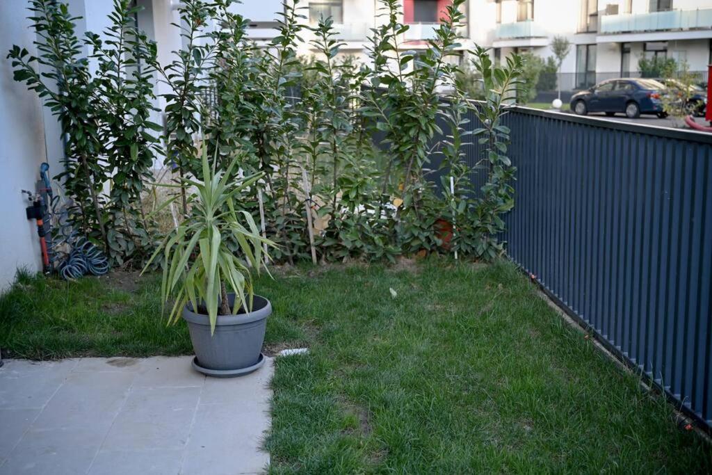 #Minehouse Apartment Timisoara Luaran gambar